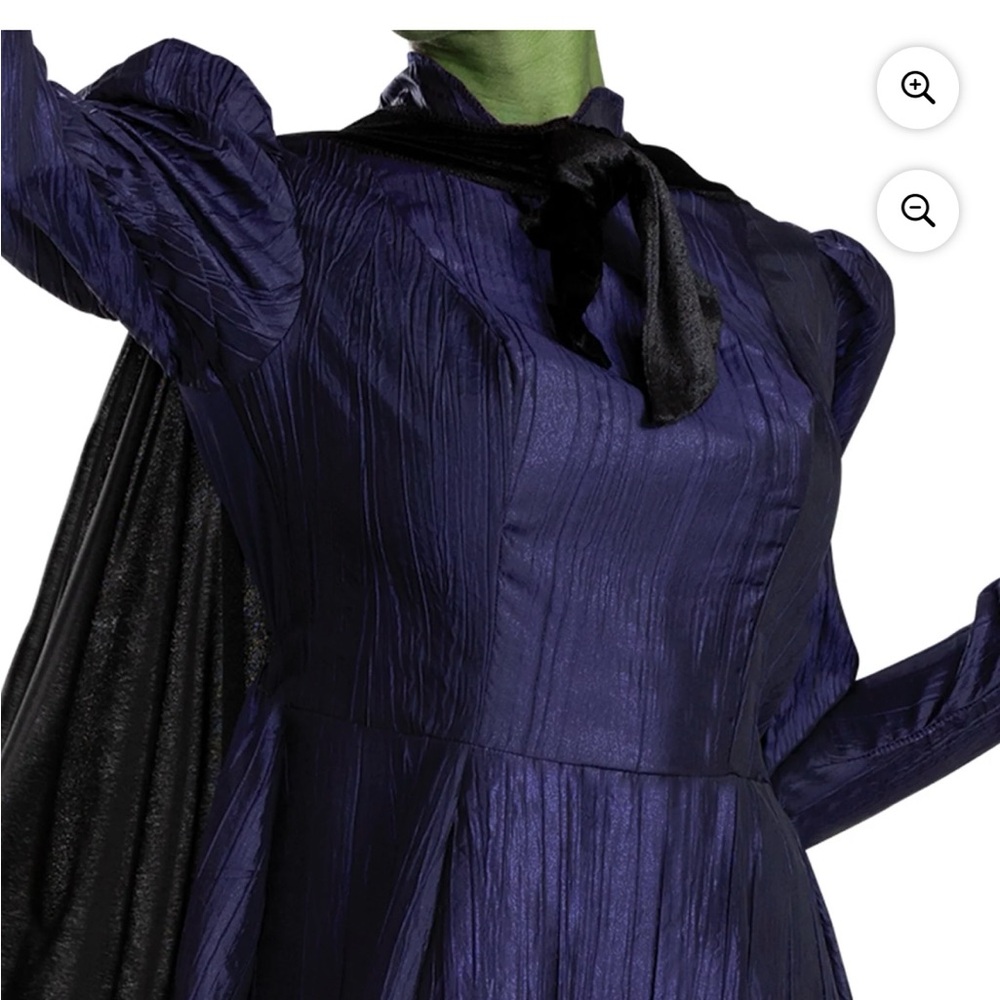 Elphaba costume women's - Picture 4 of 4